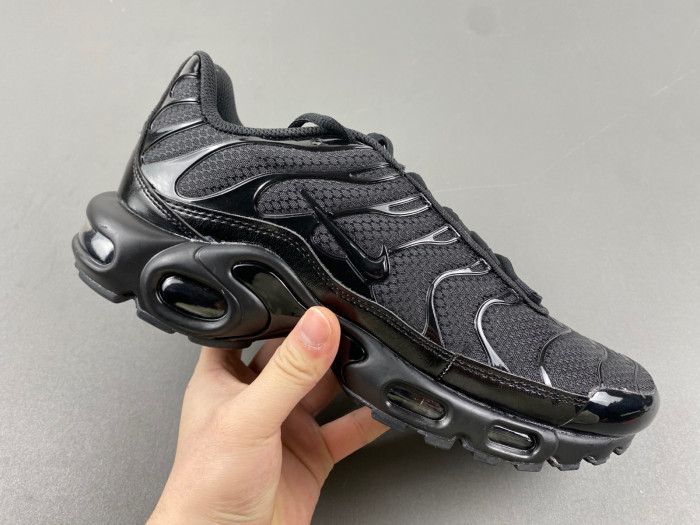 Nike Air Max Plus Triple Black 604133-050
