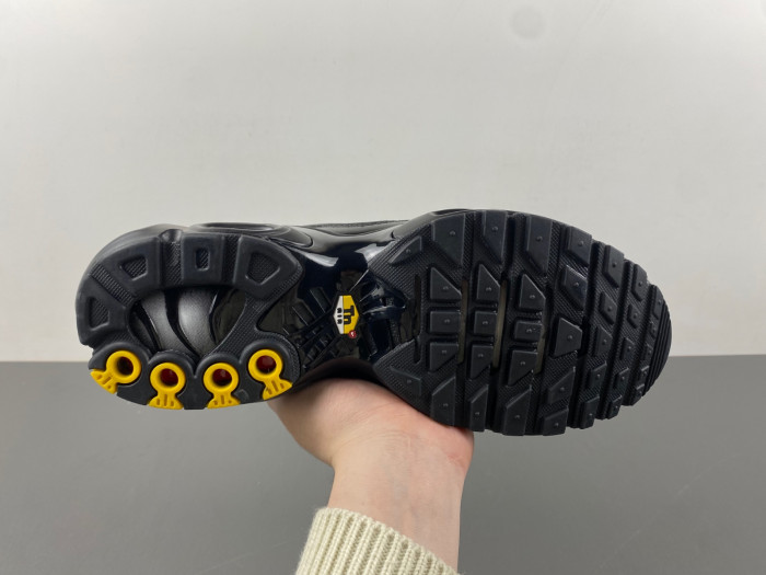 Nike Air Max Plus Triple Black 604133-050