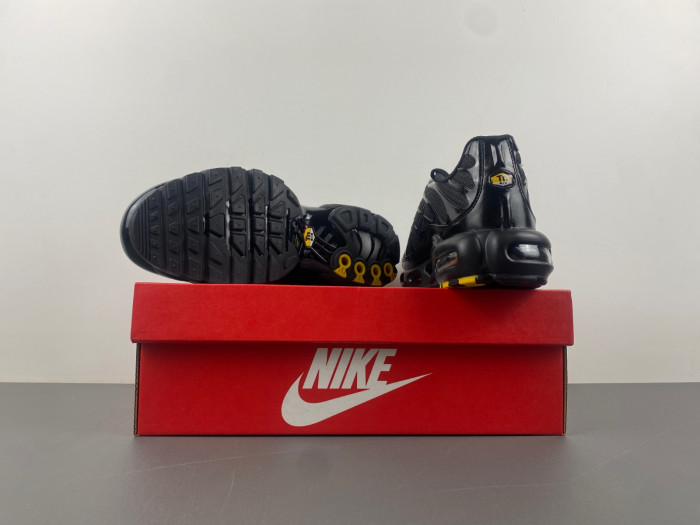 Nike Air Max Plus Triple Black 604133-050
