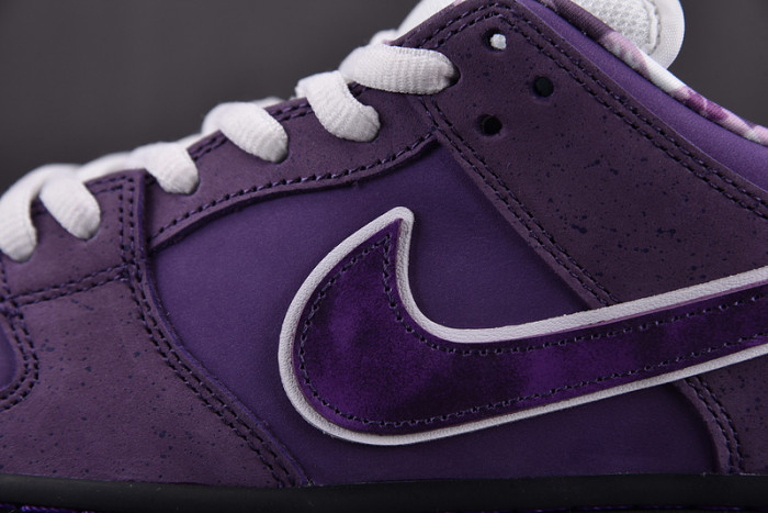 CONCEPTS X NK SB DUNK LOW "PURPLE LOBSTER" BV1310-555