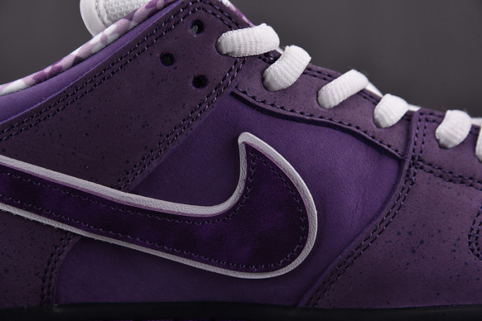 CONCEPTS X NK SB DUNK LOW "PURPLE LOBSTER" BV1310-555
