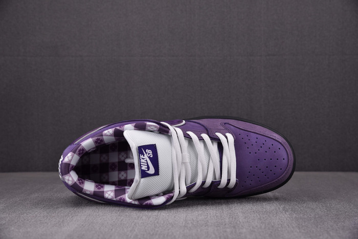 CONCEPTS X NK SB DUNK LOW "PURPLE LOBSTER" BV1310-555
