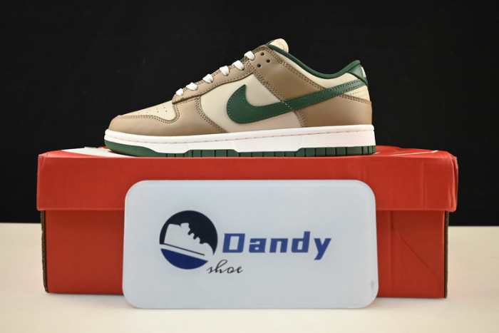 Nike Dunk Low Retro FB7160-231