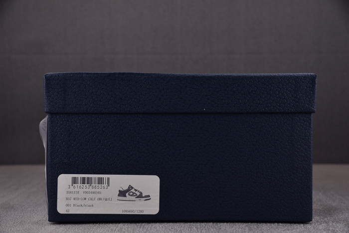 D10R B57 LOW SNEAKER