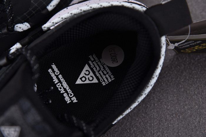 NK ACG Mountain Fly Low GTX SE DD2861-010