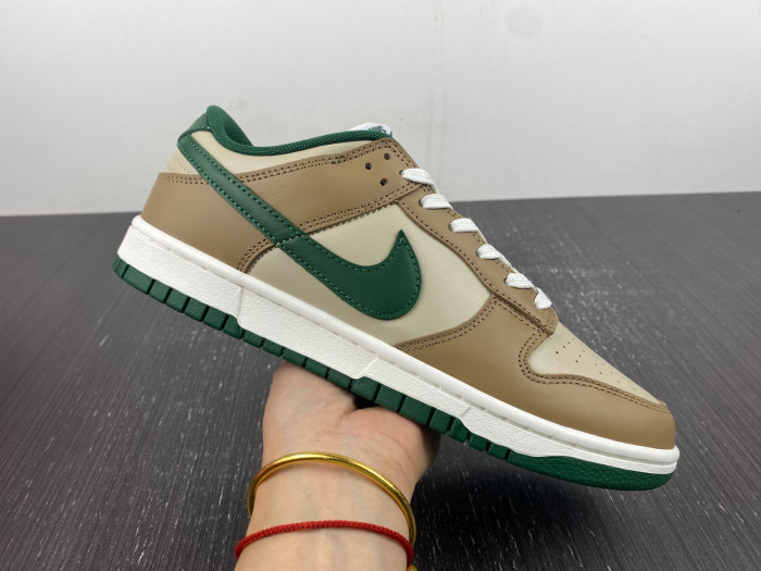 Nike Dunk Low Retro FB7160-231