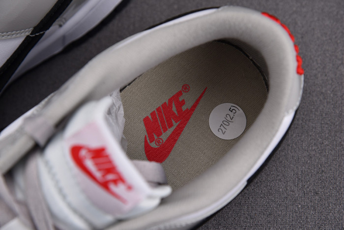 Nike Dunk Low “Light Iron Ore” DQ7576-001