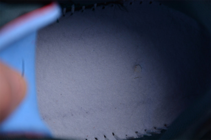 Nike CPFM Air Flea 2 Cactus Plant Flea Market Faded Spruce  DV7164-300