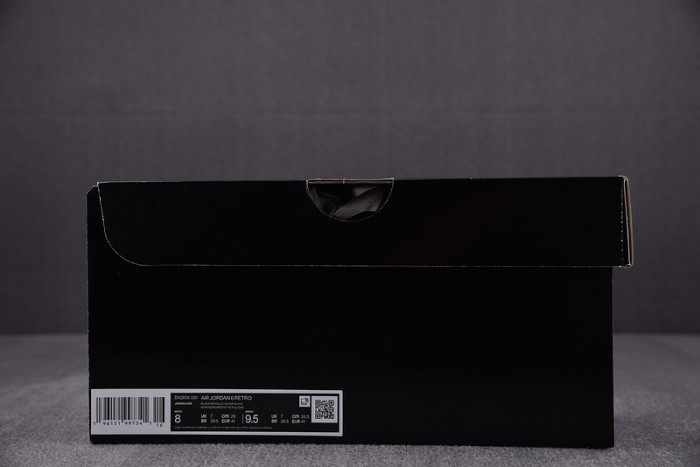 Air Jordan 6 Metallic Silver Chrome DX2836-001