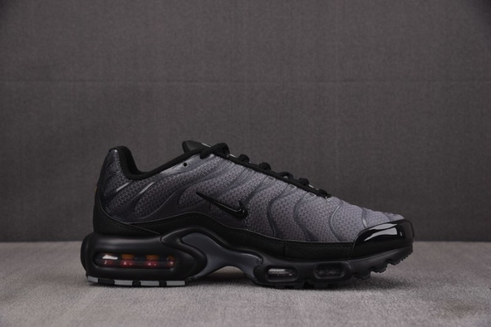 Nike Air Max Plus PSG Paris Saint-Germain Black Particle Grey IB2253-001