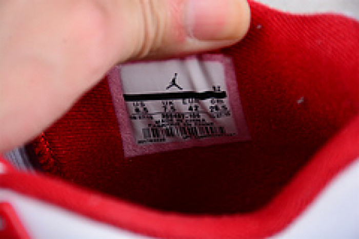 Jordan 4 Retro Alternate 89 308497-106