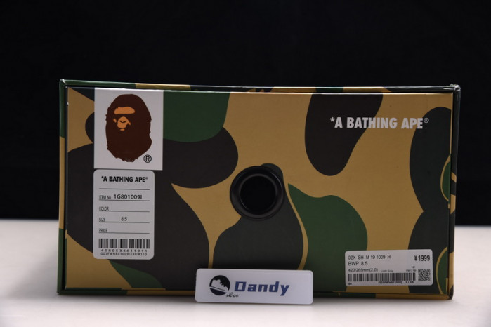 BAPE Shoe