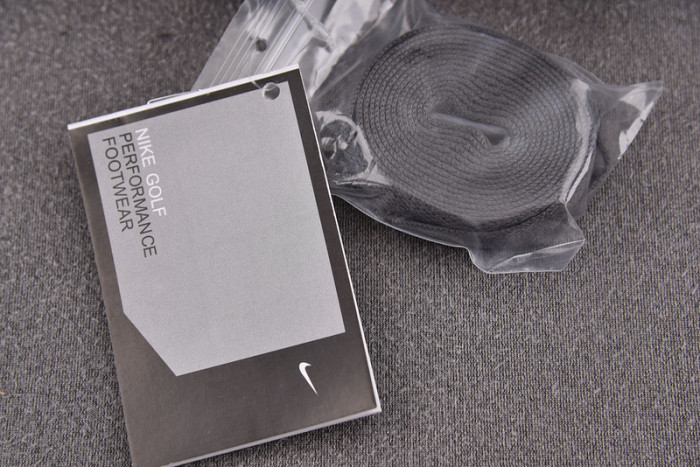 Air Jordan 1 Retro Low Golf Wolf Grey Gum  DD9315-006