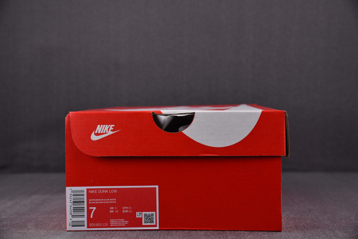 Nike Dunk Low Medium Olive (W) DD1503-120