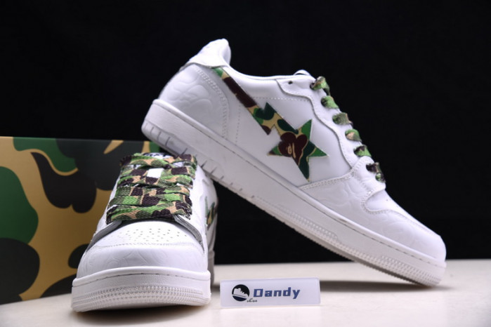 BAPE Shoe
