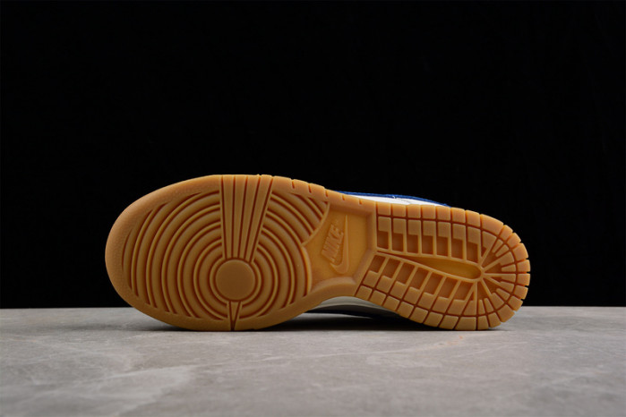 NIKE DUNK LOW RETRO DX3198-13