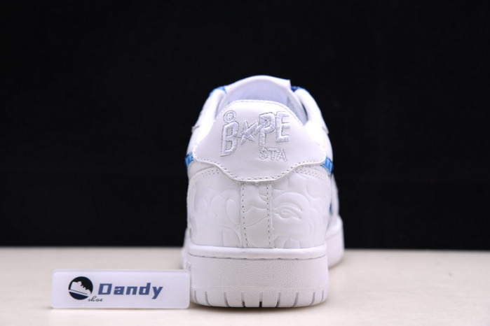 BAPE Shoe